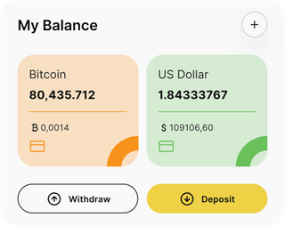 Owndra Holdings automated trading solution dashboard overview